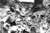 Wwi battle of verdun_tiny